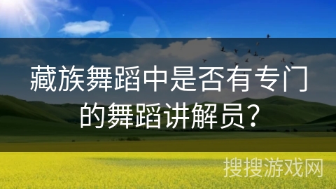 藏族舞蹈中是否有专门的舞蹈讲解员？