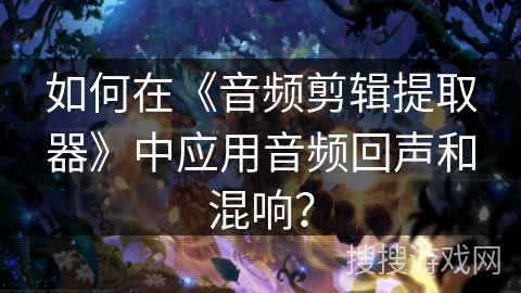 如何在《音频剪辑提取器》中应用音频回声和混响？