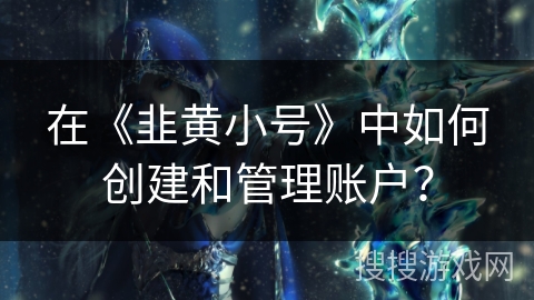 在《韭黄小号》中如何创建和管理账户？