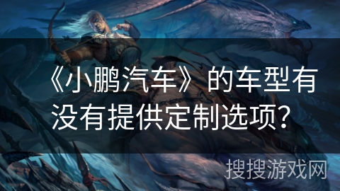 《小鹏汽车》的车型有没有提供定制选项？