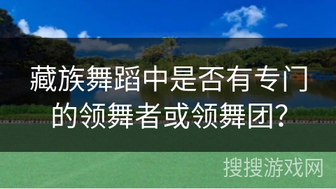 藏族舞蹈中是否有专门的领舞者或领舞团？