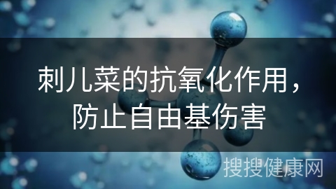 刺儿菜的抗氧化作用，防止自由基伤害