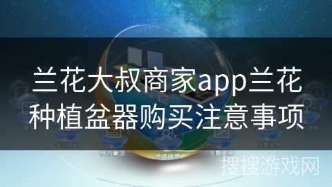 兰花大叔商家app兰花种植盆器购买注意事项
