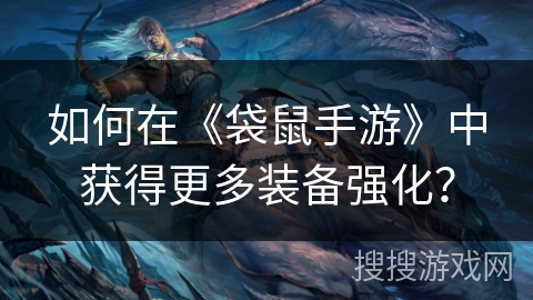 如何在《袋鼠手游》中获得更多装备强化？