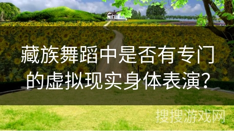 藏族舞蹈中是否有专门的虚拟现实身体表演？