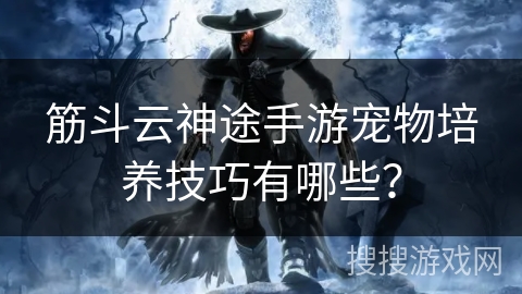 筋斗云神途手游宠物培养技巧有哪些？