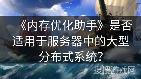 《内存优化助手》是否适用于服务器中的大型分布式系统？