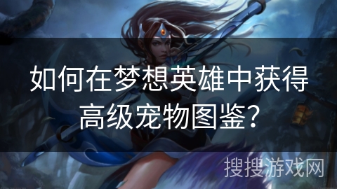 如何在梦想英雄中获得高级宠物图鉴？