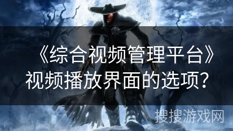 《综合视频管理平台》视频播放界面的选项？