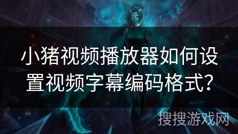 小猪视频播放器如何设置视频字幕编码格式？