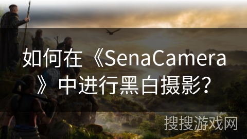 如何在《SenaCamera》中进行黑白摄影？