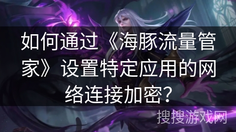 如何通过《海豚流量管家》设置特定应用的网络连接加密？