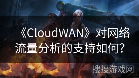 《CloudWAN》对网络流量分析的支持如何？