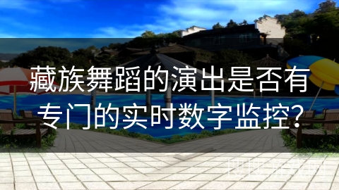 藏族舞蹈的演出是否有专门的实时数字监控？
