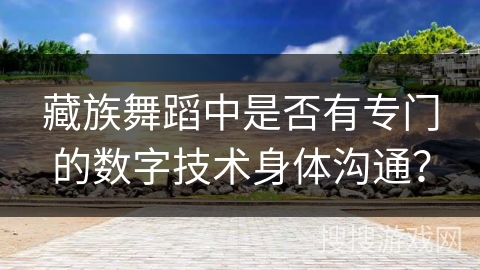 藏族舞蹈中是否有专门的数字技术身体沟通？