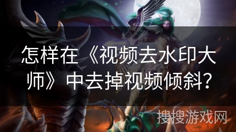 怎样在《视频去水印大师》中去掉视频倾斜？