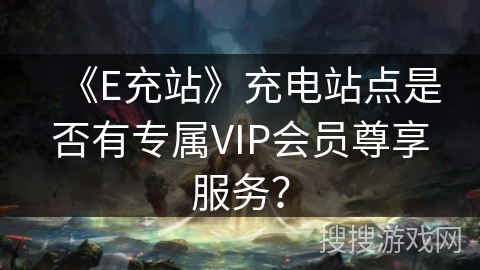 《E充站》充电站点是否有专属VIP会员尊享服务？