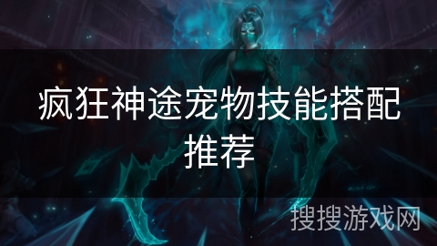 疯狂神途宠物技能搭配推荐