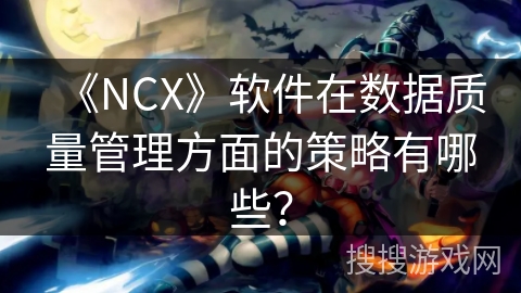《NCX》软件在数据质量管理方面的策略有哪些？