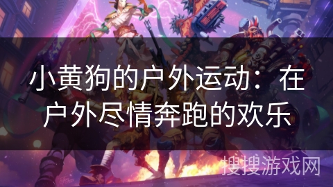 小黄狗的户外运动：在户外尽情奔跑的欢乐