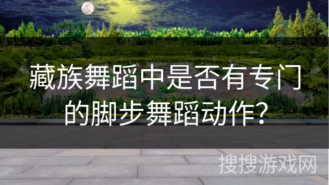 藏族舞蹈中是否有专门的脚步舞蹈动作？