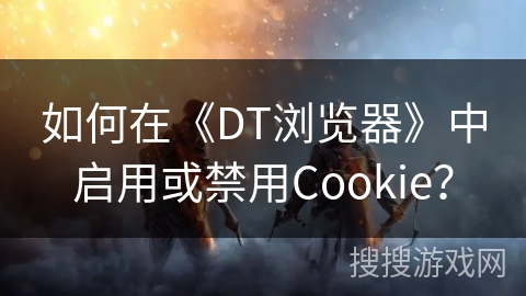 如何在《DT浏览器》中启用或禁用Cookie？