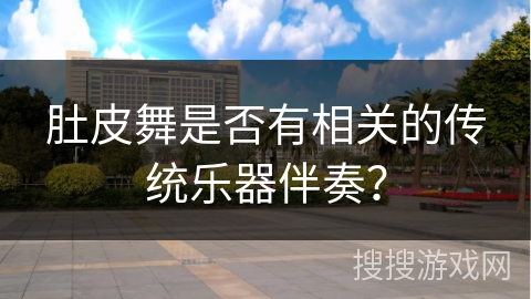 肚皮舞是否有相关的传统乐器伴奏？