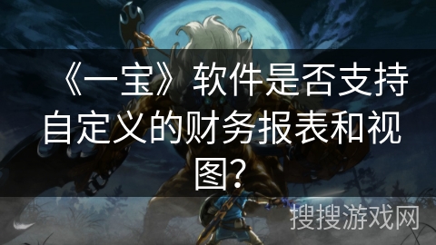 《一宝》软件是否支持自定义的财务报表和视图？