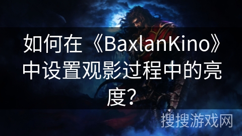 如何在《BaxlanKino》中设置观影过程中的亮度？