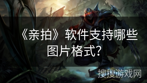 《亲拍》软件支持哪些图片格式？