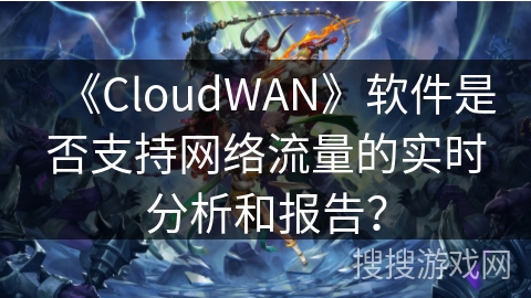 《CloudWAN》软件是否支持网络流量的实时分析和报告？