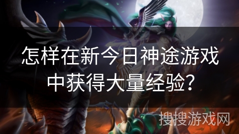 怎样在新今日神途游戏中获得大量经验？