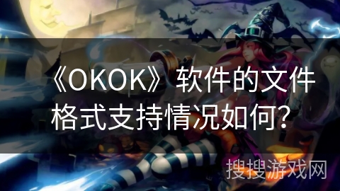 《OKOK》软件的文件格式支持情况如何？