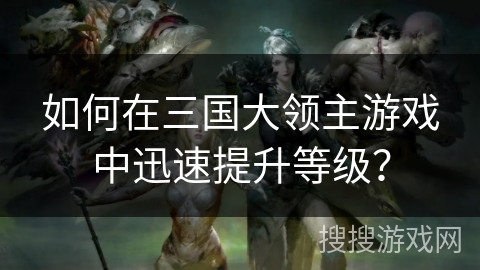 如何在三国大领主游戏中迅速提升等级？