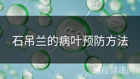 石吊兰的病叶预防方法