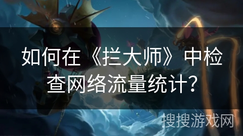 如何在《拦大师》中检查网络流量统计？