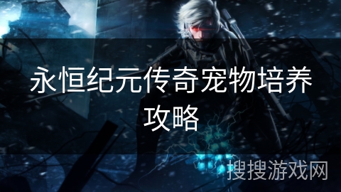 永恒纪元传奇宠物培养攻略
