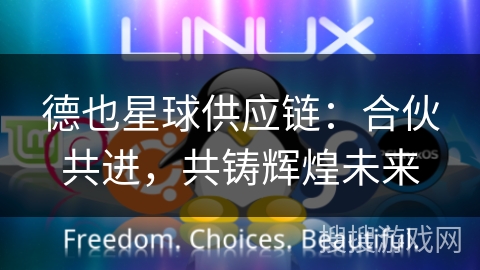 德也星球供应链：合伙共进，共铸辉煌未来
