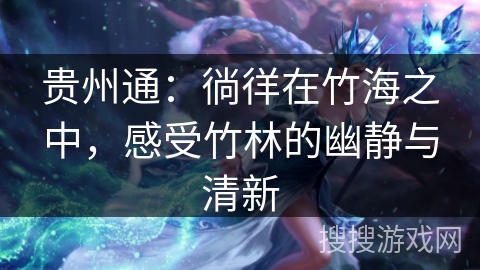 贵州通：徜徉在竹海之中，感受竹林的幽静与清新