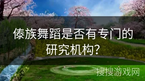 傣族舞蹈是否有专门的研究机构？
