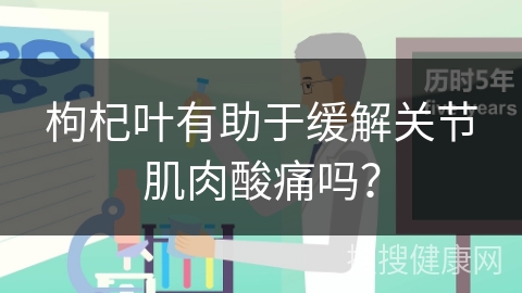 枸杞叶有助于缓解关节肌肉酸痛吗？