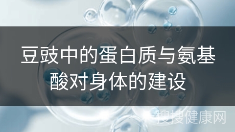 豆豉中的蛋白质与氨基酸对身体的建设