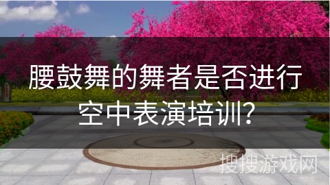 腰鼓舞的舞者是否进行空中表演培训？