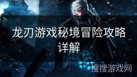 龙刃游戏秘境冒险攻略详解