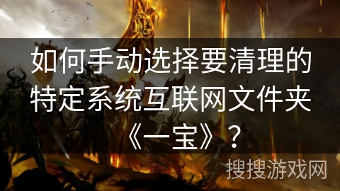 如何手动选择要清理的特定系统互联网文件夹《一宝》？