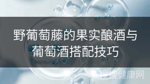 野葡萄藤的果实酿酒与葡萄酒搭配技巧