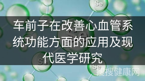 车前子在改善心血管系统功能方面的应用及现代医学研究