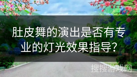 肚皮舞的演出是否有专业的灯光效果指导？