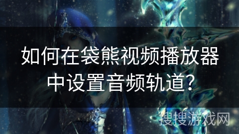 如何在袋熊视频播放器中设置音频轨道？