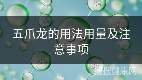 五爪龙的用法用量及注意事项